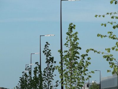 city-street-light